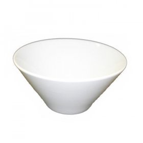 Ceramic Fusion Bowl for Rent